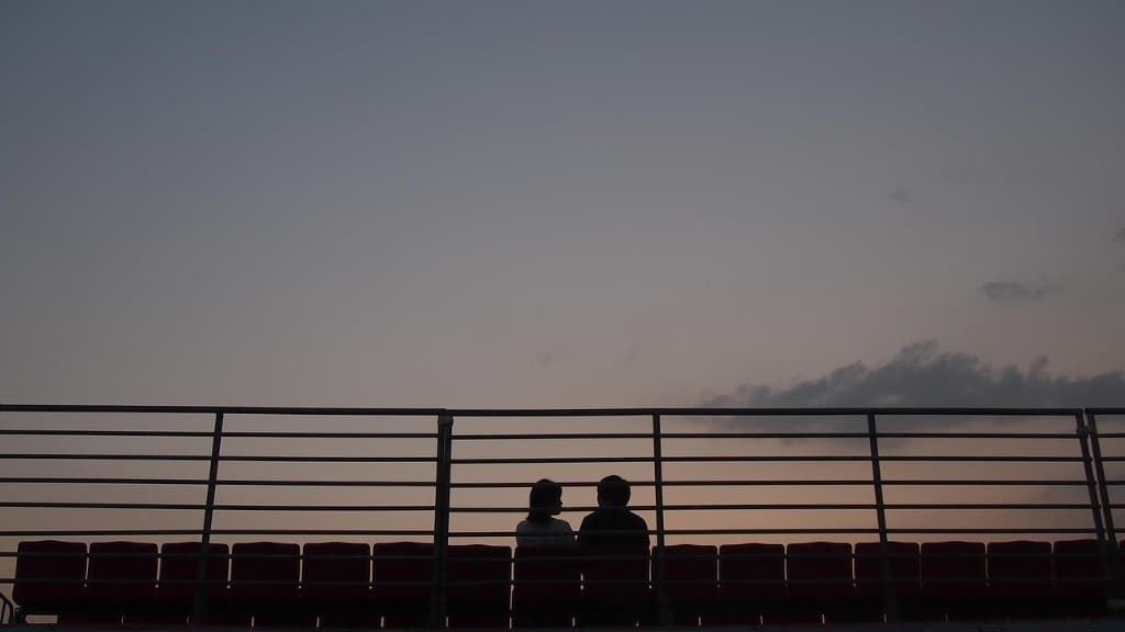 Siluetas de una pareja mirando el horizonte al anochecer